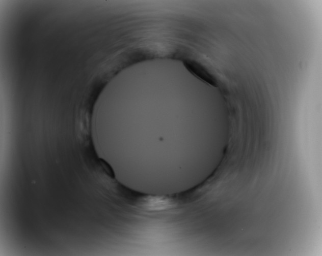 X0000088060528200706081652