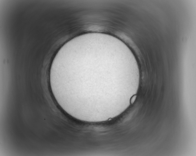 X0000088060529200706081651