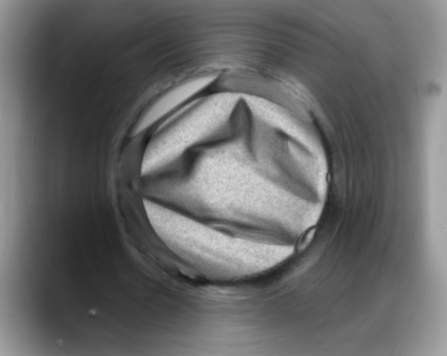 X0000088060530200706081651