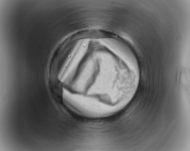 X0000088060532200706081651