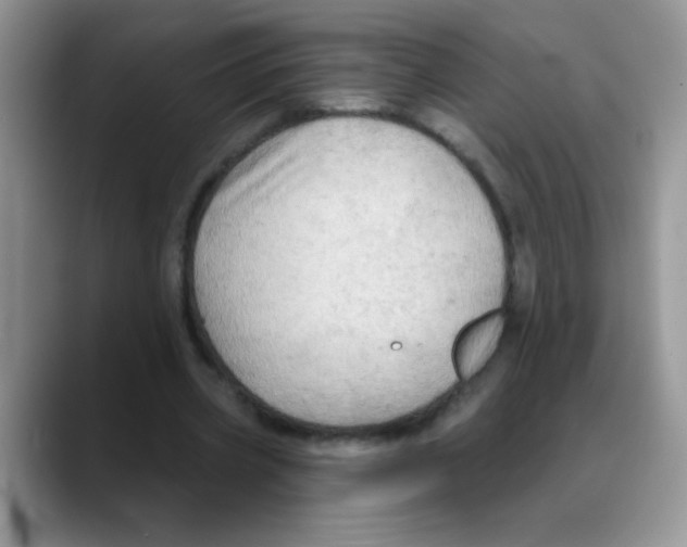 X0000088060533200706081651