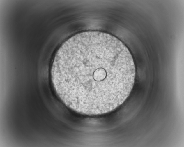 X0000088060534200706081651