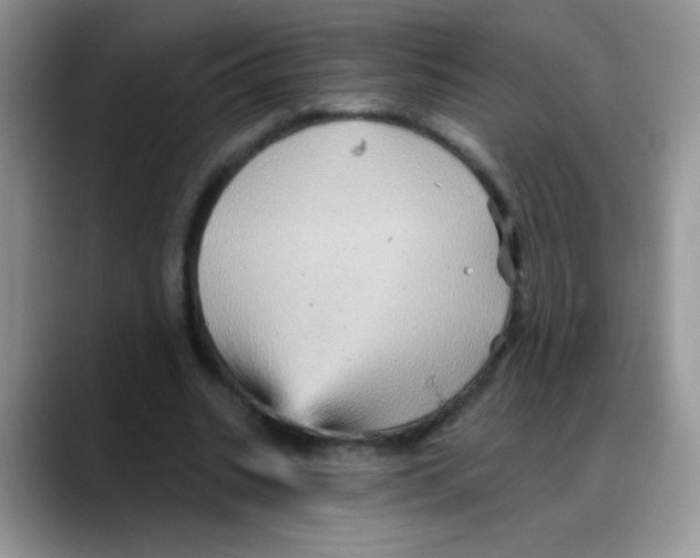 X0000088060535200706081651