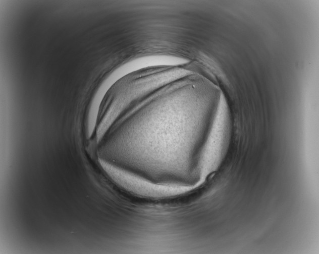 X0000088060538200706081651