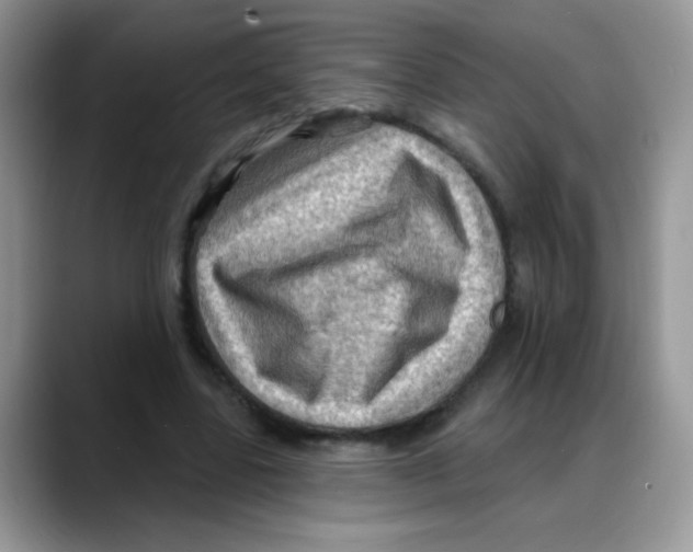 X0000088060539200706081651