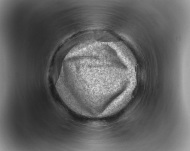 X0000088060540200706081651