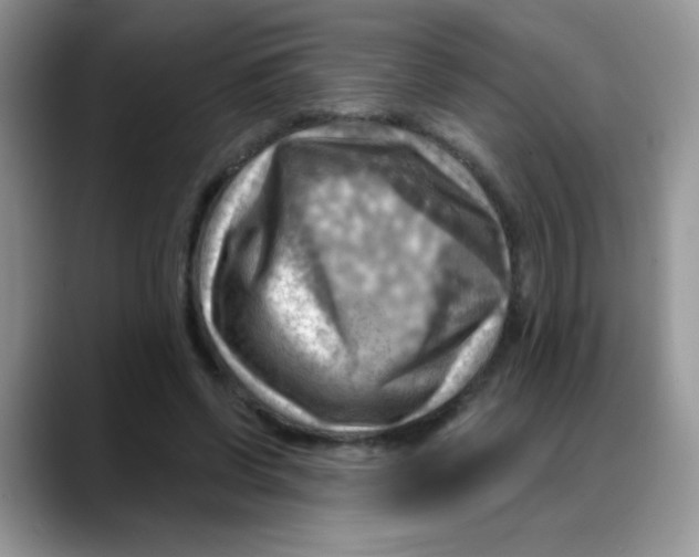 X0000088060542200706081651