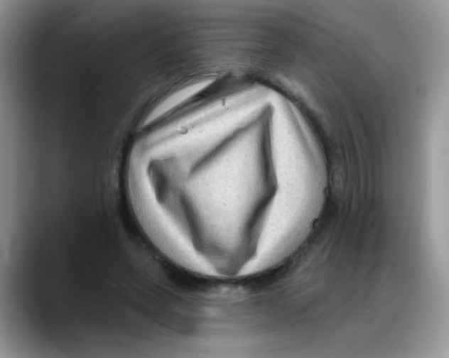 X0000088060543200706081651