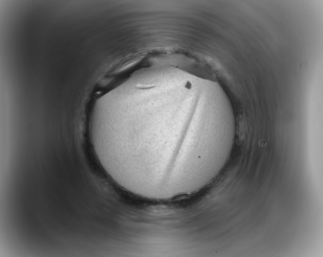 X0000088060544200706081651