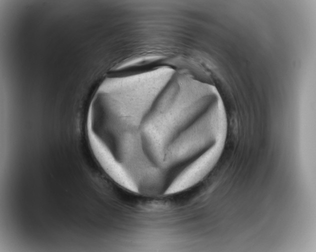 X0000088060546200706081651