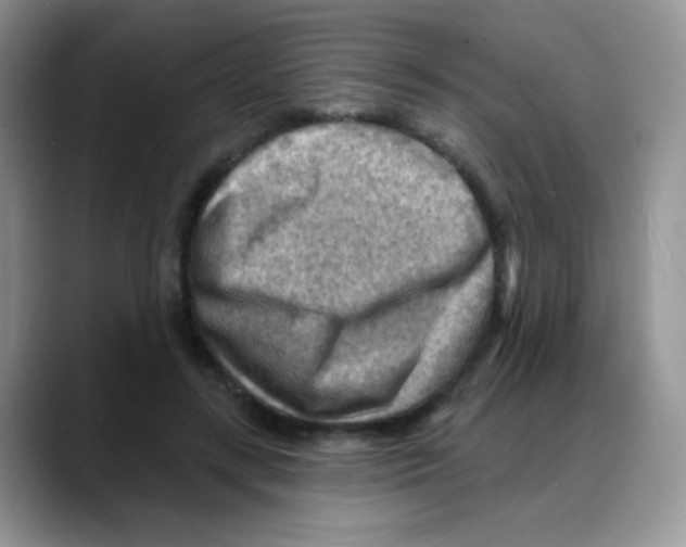 X0000088060547200706081651
