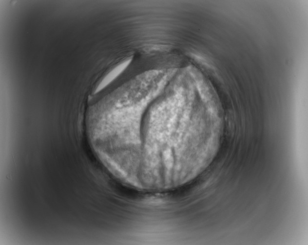 X0000088060550200706081651