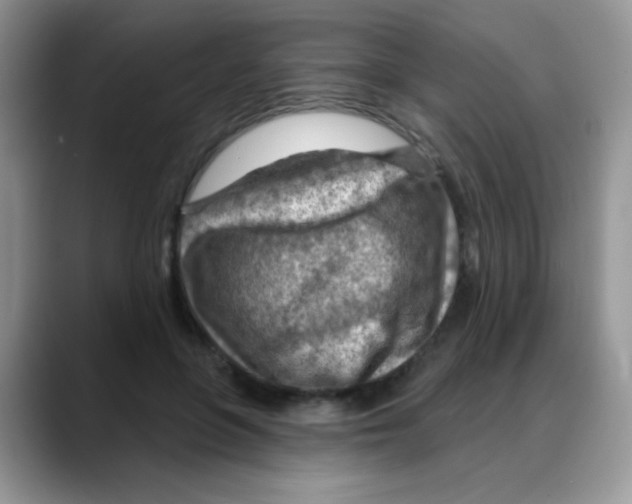 X0000088060551200706081651