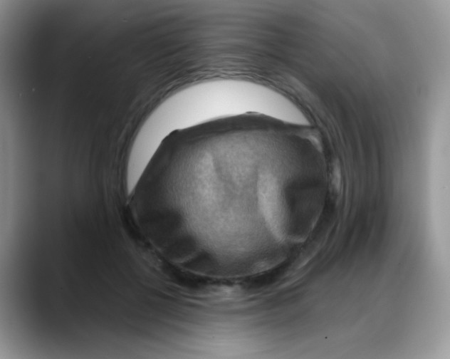 X0000088060552200706081651