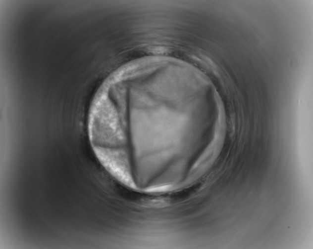 X0000088060553200706081651