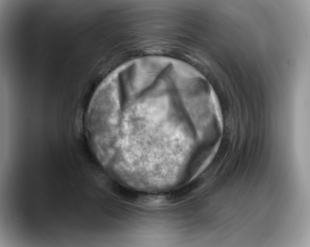 X0000088060554200706081651