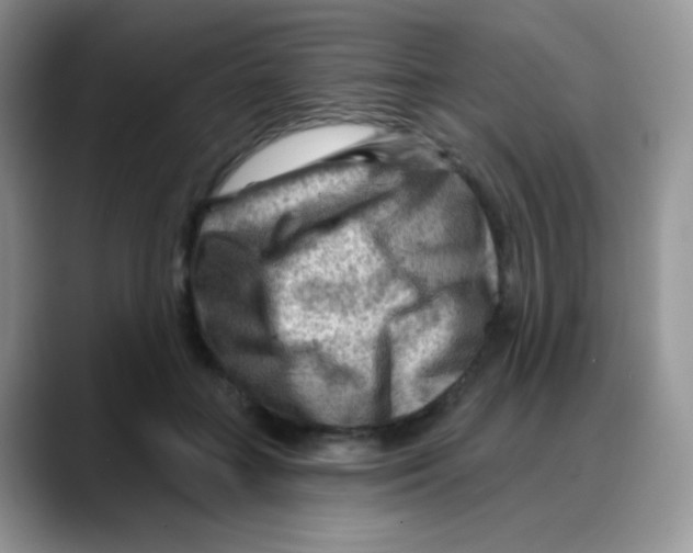 X0000088060555200706081651