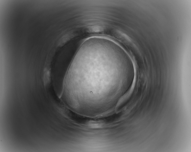 X0000088060556200706081651
