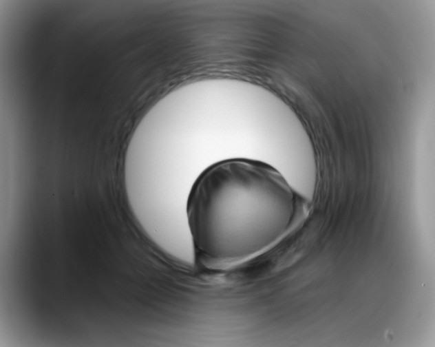 X0000088060558200706081651