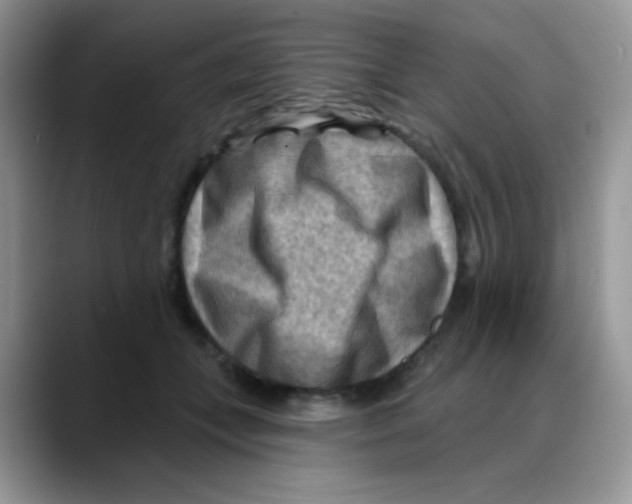 X0000088060559200706081652