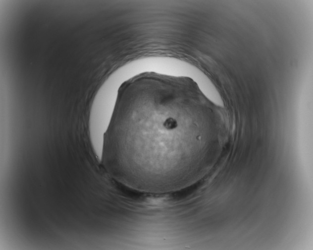X0000088060560200706081652