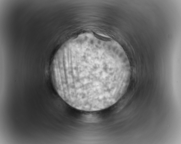 X0000088060561200706081652
