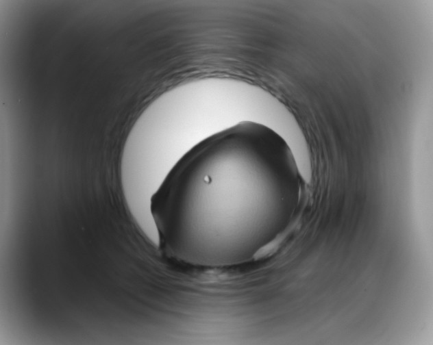 X0000088060562200706081652
