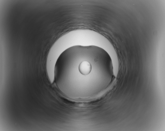 X0000088060564200706081652