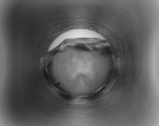 X0000088060568200706081652