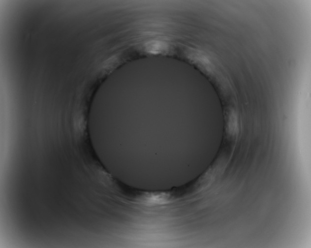 X0000088060569200706081652