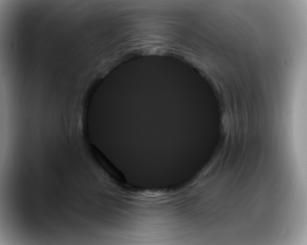 X0000088060570200706081652