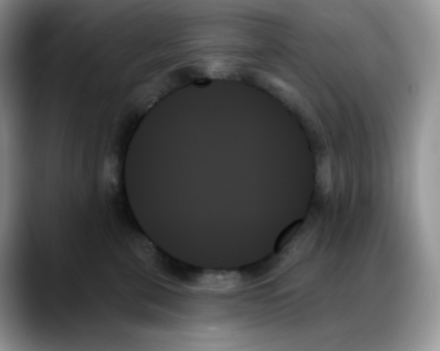 X0000088060571200706081652