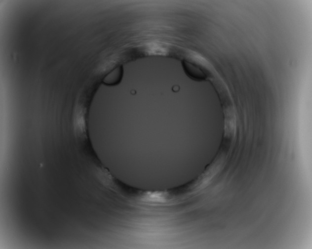 X0000088060573200706081652