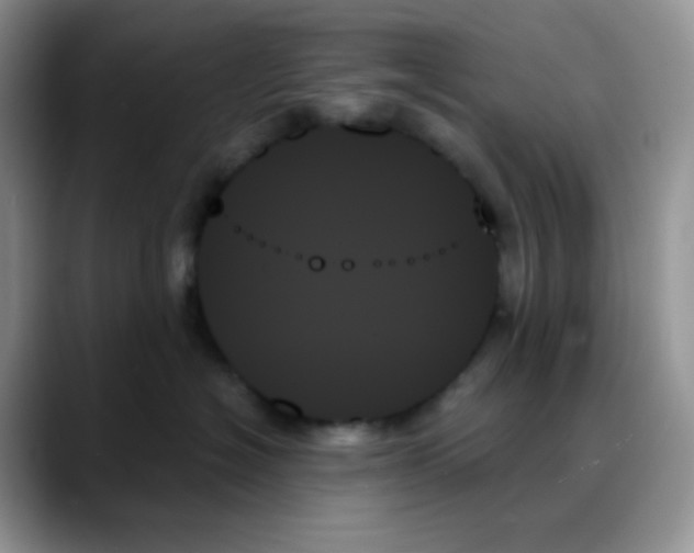 X0000088060574200706081652