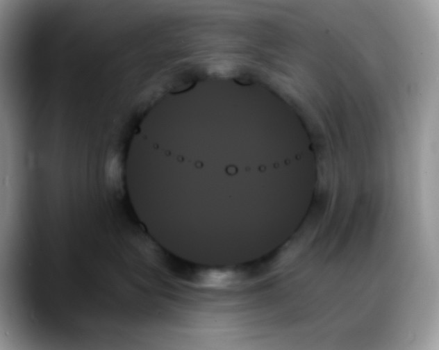 X0000088060575200706081652