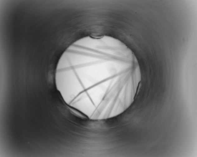 X0000088060576200706081652