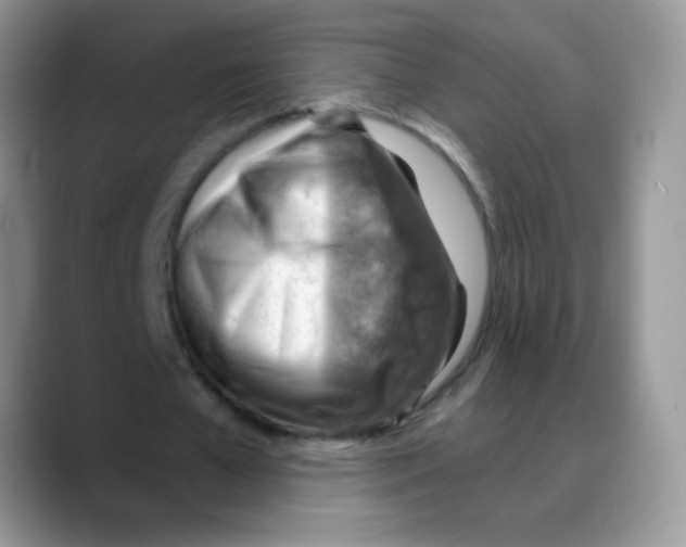 X0000088060577200706081651