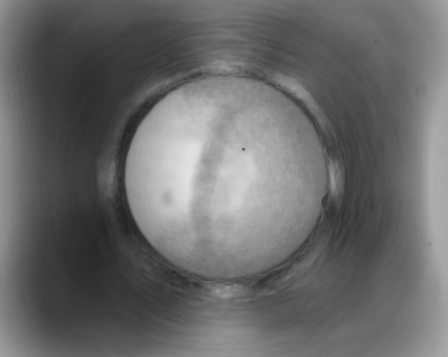 X0000088060579200706081651