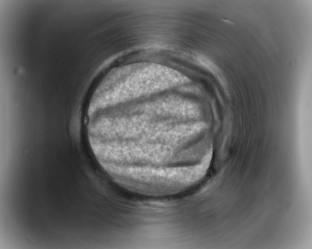 X0000088060580200706081651