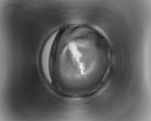 X0000088060581200706081651