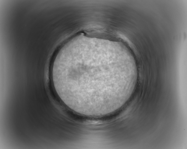 X0000088060582200706081651