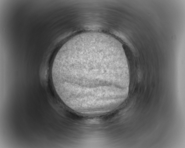 X0000088060583200706081651