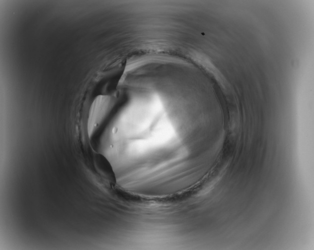 X0000088060585200706081651