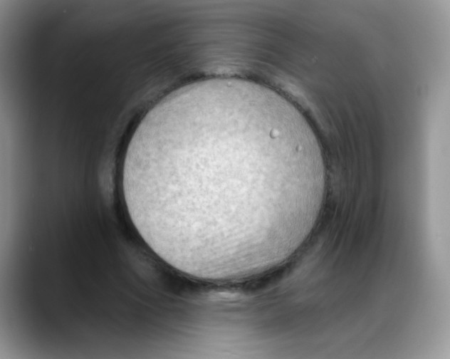 X0000088060586200706081651