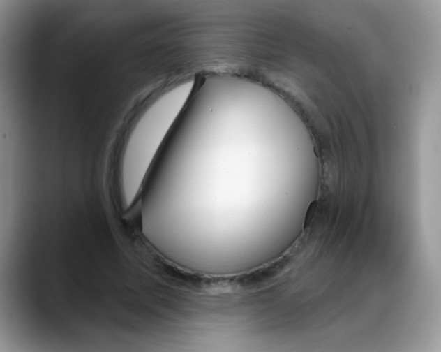 X0000088060587200706081651