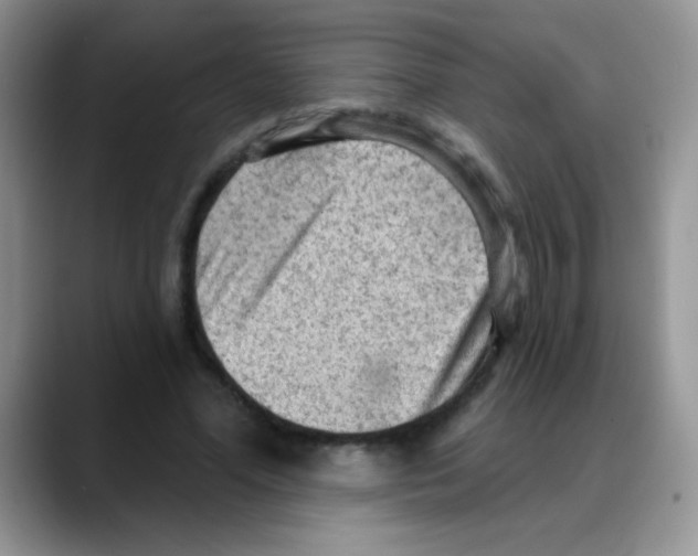 X0000088060588200706081651