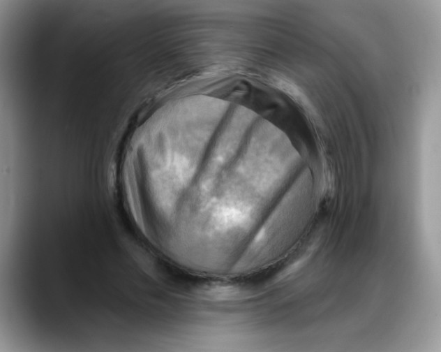X0000088060589200706081651