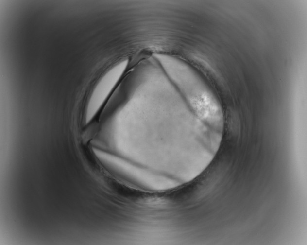 X0000088060590200706081651