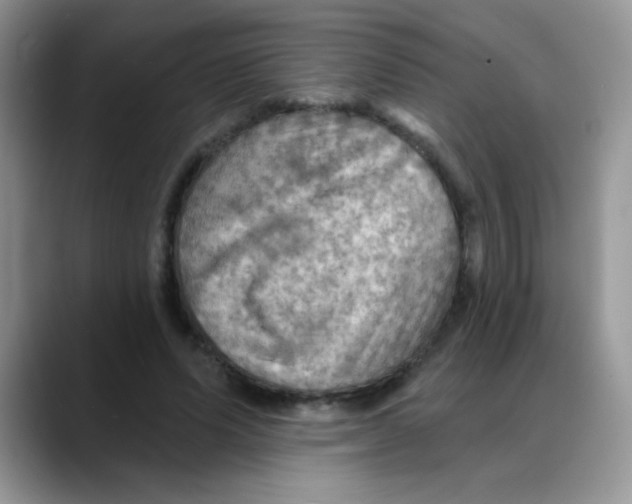 X0000088060591200706081651