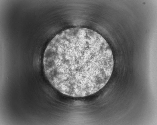 X0000088060592200706081651